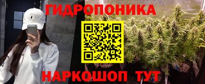 наркотики Новозыбков