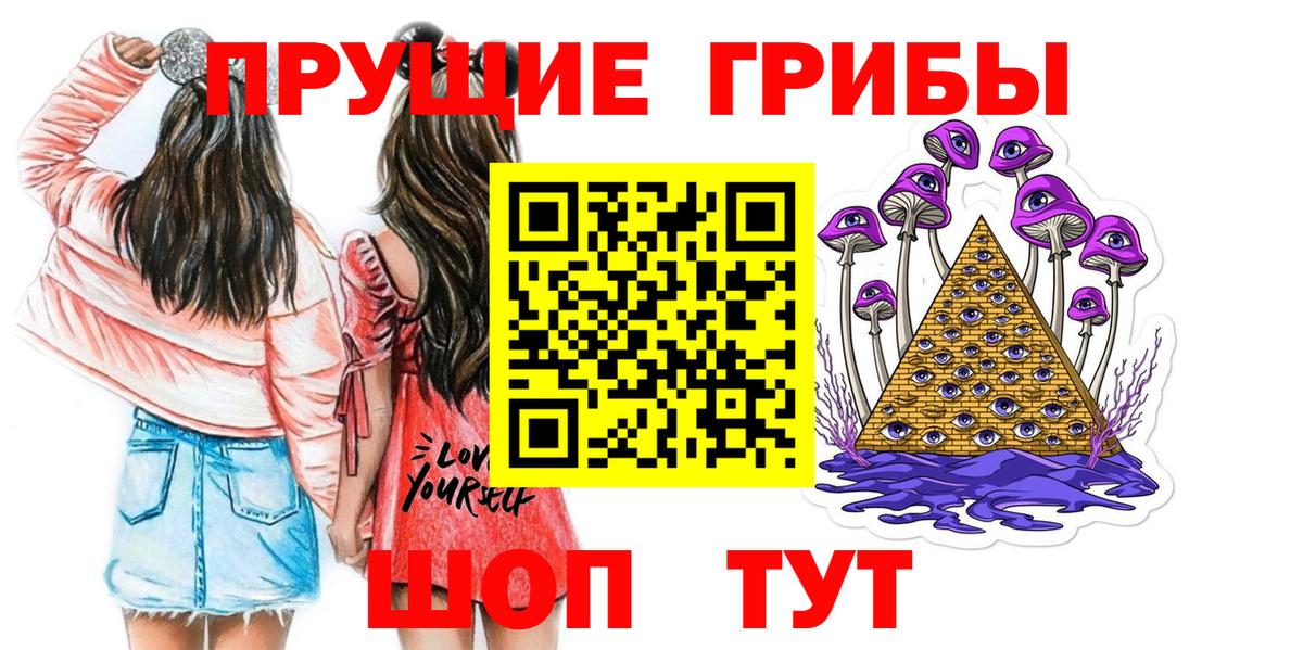 Сальск  Галлюциногенные грибы Psilocybe  купить  сайты  Вход с VPN  Псилоцибиновые грибы Psilocybe 